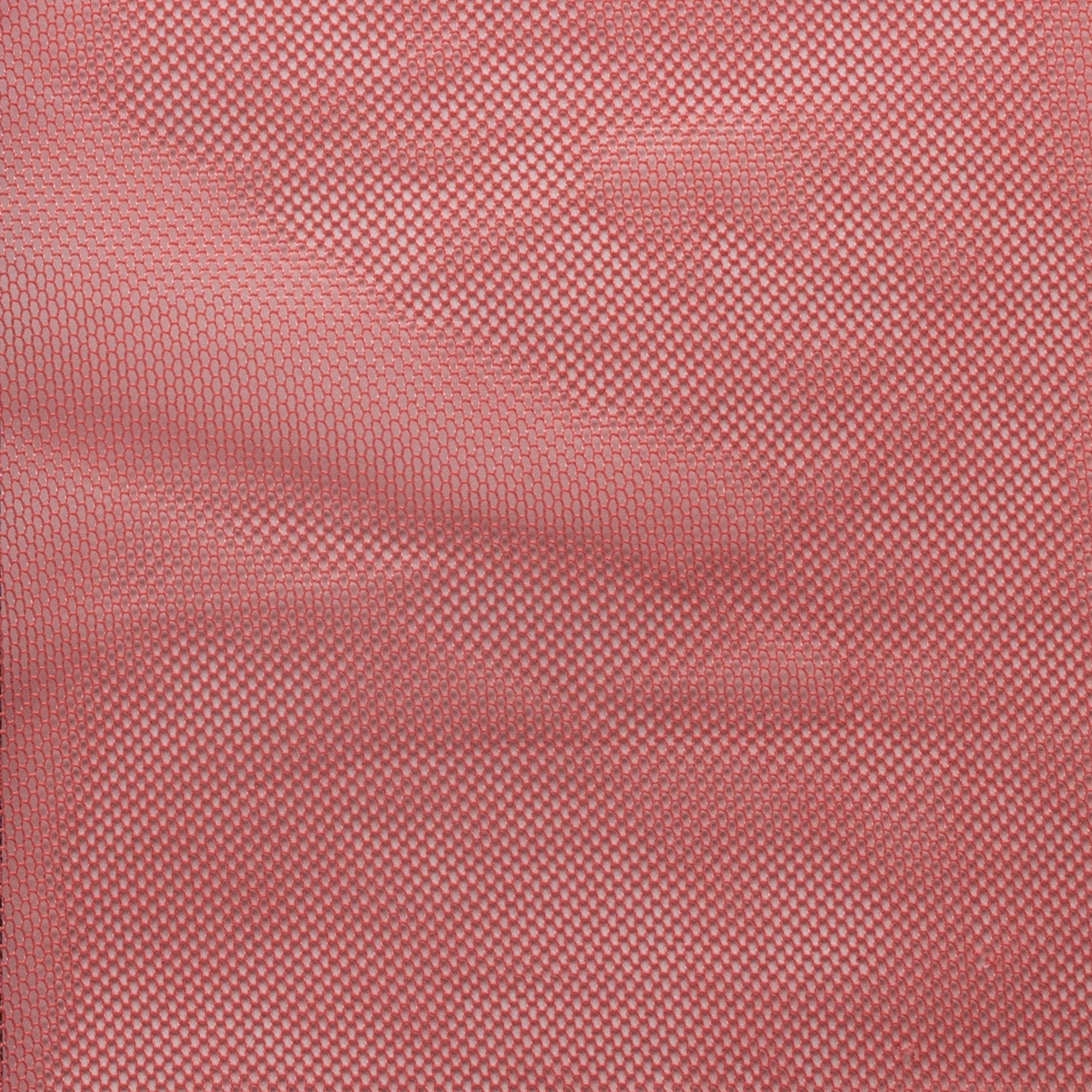 Mesh - Rollo 150m