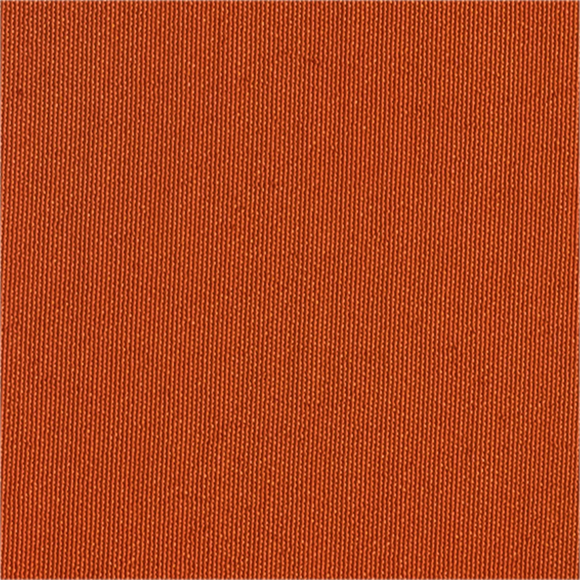 Goshibo - Rollo 80m