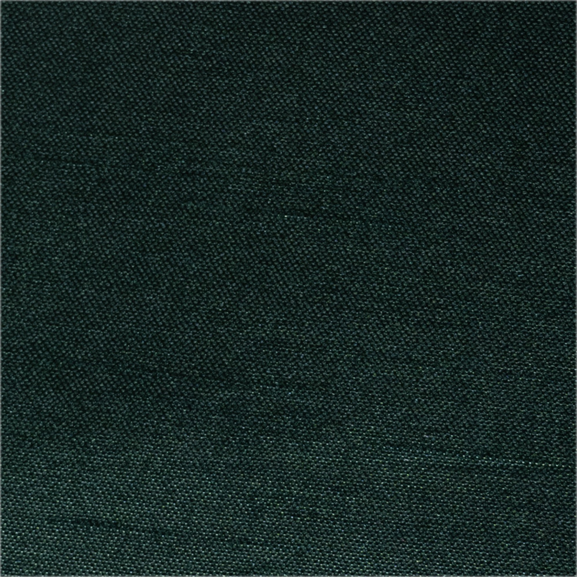 Shantuy Tokio - Rollo 100m