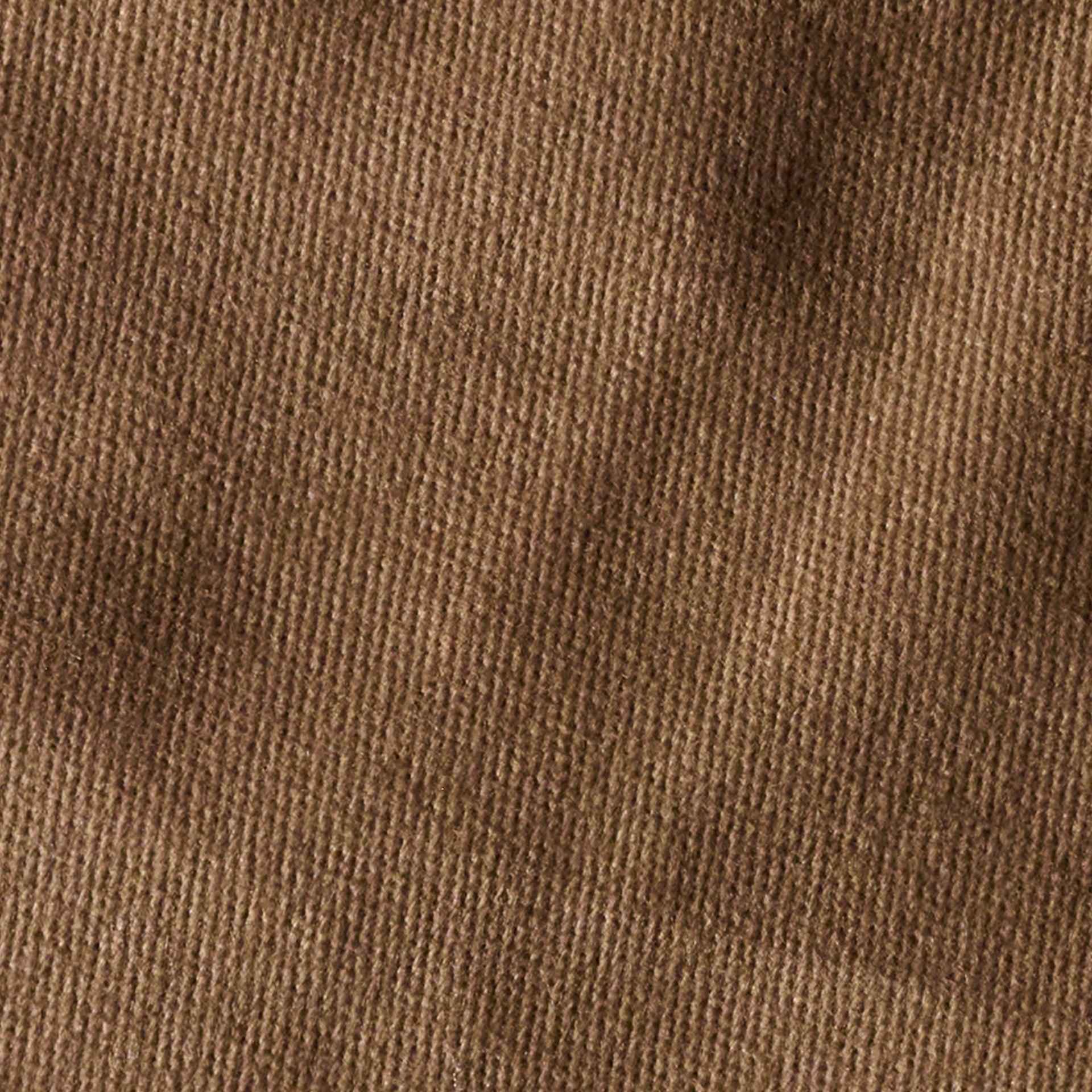 Gabardina Strech