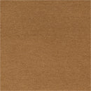 Shantuy Tokio - Rollo 100m