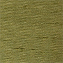 Shantuy Tokio - Rollo 100m