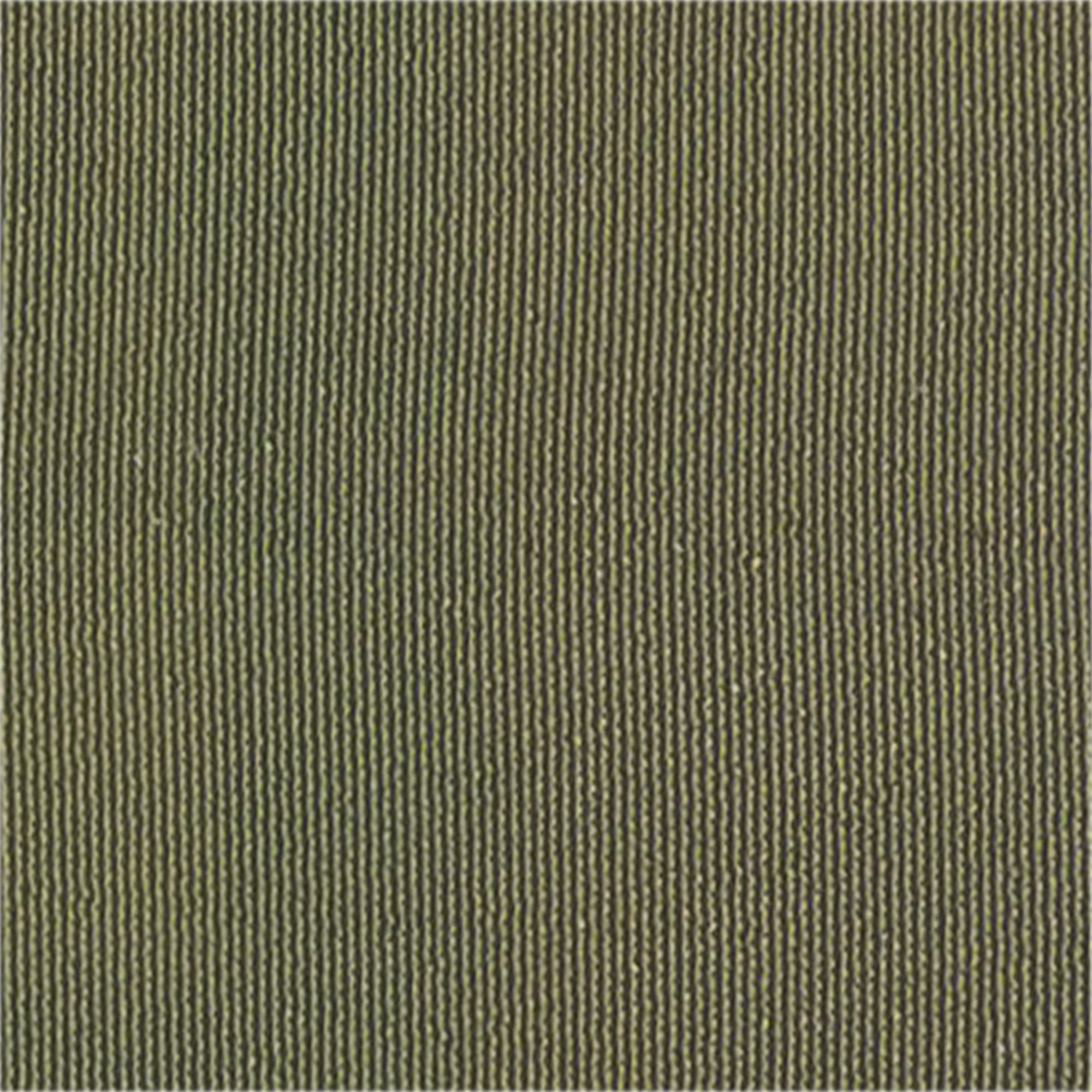 Goshibo - Rollo 80m