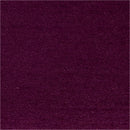 Shantuy Tokio - Rollo 100m