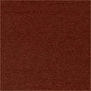 Shantuy Tokio - Rollo 100m