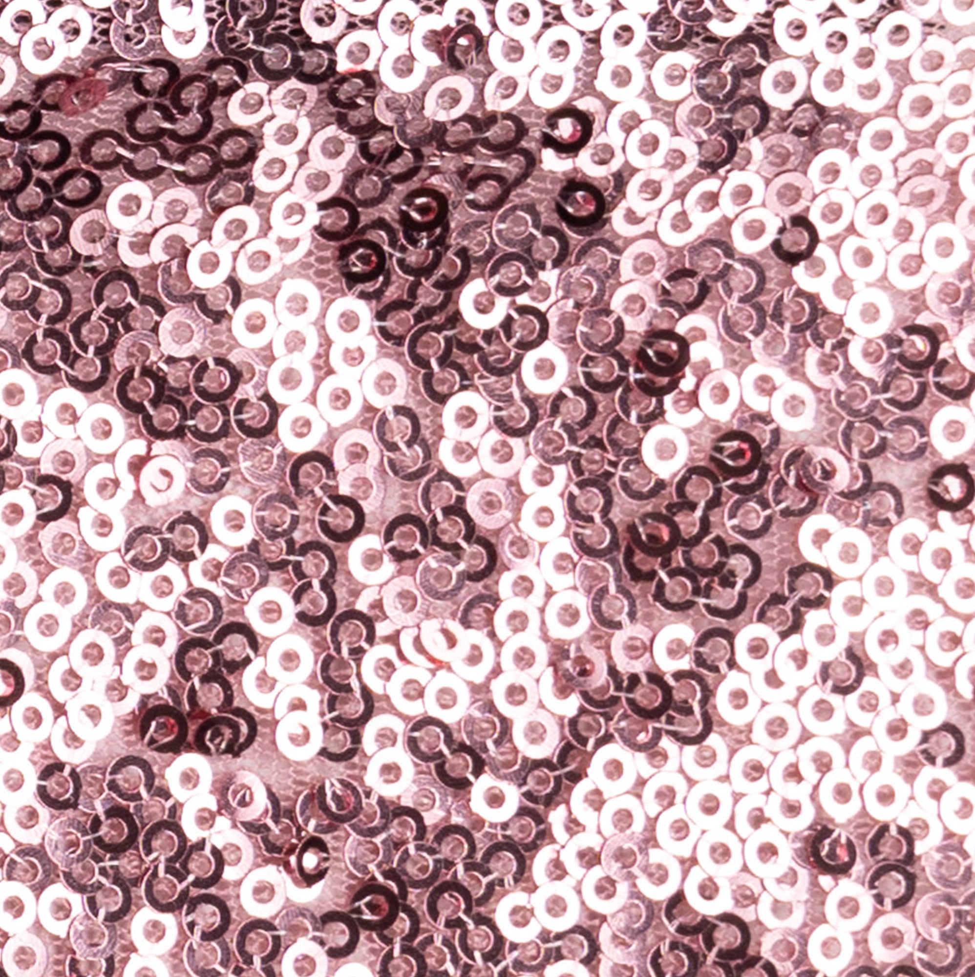 Siena - Rollo 30m