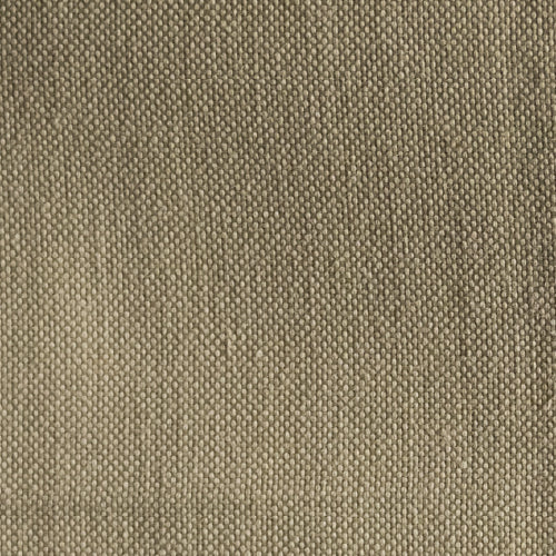 Ambassador - Rollo 150m