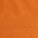 Poliseda - Rollo 100m