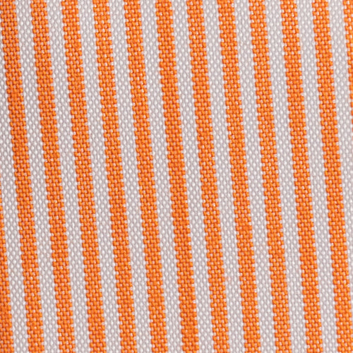 Carolina Line - Rollo 100m