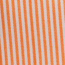 Carolina Line - Rollo 100m