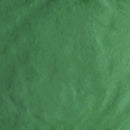 Poliseda - Rollo 100m